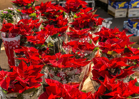 Mercado Villaverde Alto