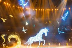 Photo de couverture La joie du cirque