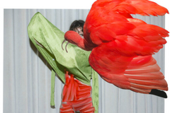 Foto de portada Lux & Umbra" de Viviane Sassen, en PHotoESPAÑA 2026