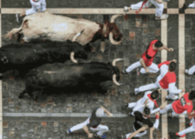 Galerie de images Courses de taureaux à San Sebastián de los Reyes 1