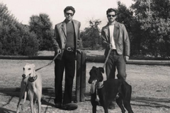 Titelbild Taburete – The Smoking Dog Tour 2026