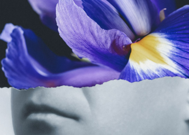 Image gallery Iris, at the Teatro Real 1