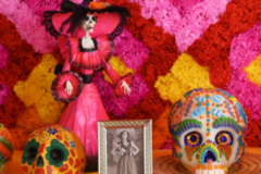 Photo de couverture Autel des Morts - Casa Mexico