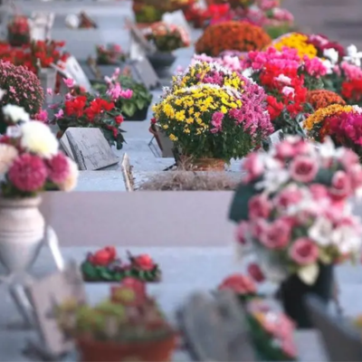 Thumbnail All Hallows