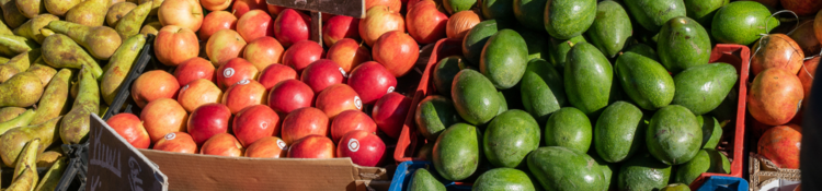 Imagen 14 de noviembre, Día del Comercio Ambulante