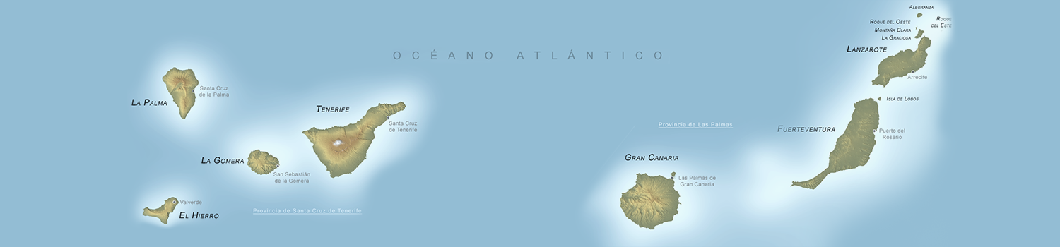 Image GASTRONOMIC CELEBRATION OF CANARY ISLANDS DAY