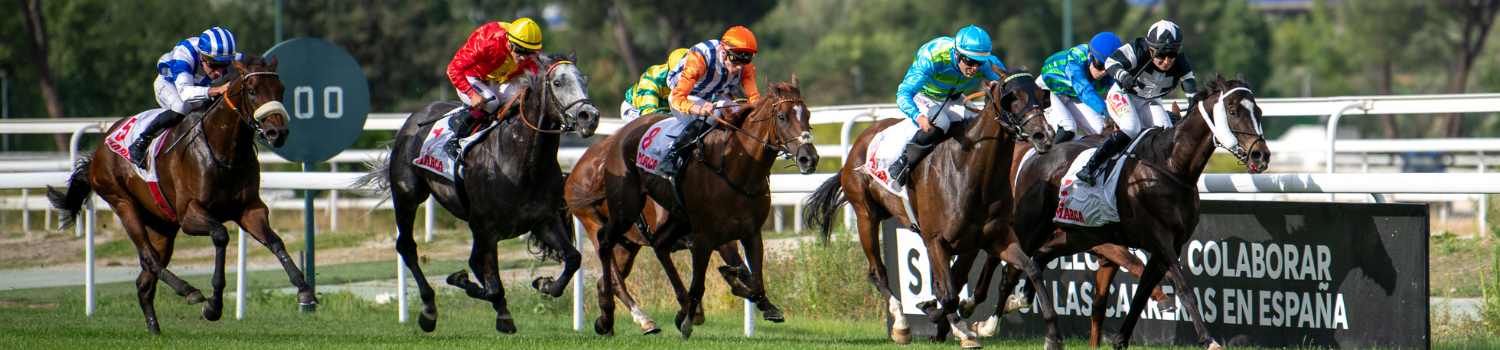 Image THE ZARZUELA RACECOURSE HOSTS THE THIRD EDITION OF THE JOCKETS CHAMPIONSHIP: FEMALE TALENT IN HORSE RACING