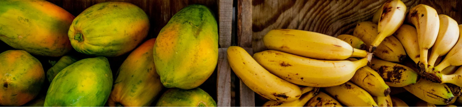 Imagem Valdebebas receberá uma nova edição da Feira Municipal de Produtores neste domingo.