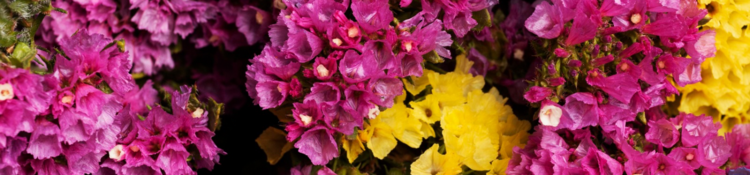 Imagen Vogue presenta su Mercado de las Flores un año más