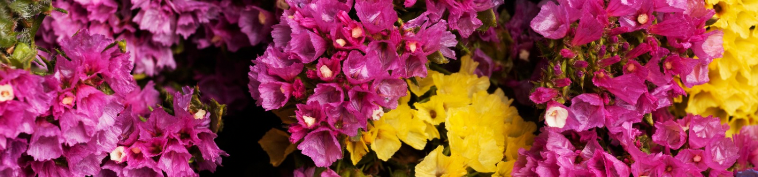 Imagem A Vogue apresenta mais uma vez seu Mercado de Flores este ano.