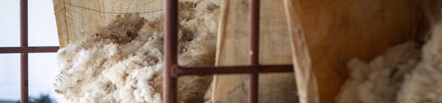 Immagine La Wool Alliance promuove il design come forza trainante per salvare un patrimonio in via d'estinzione.