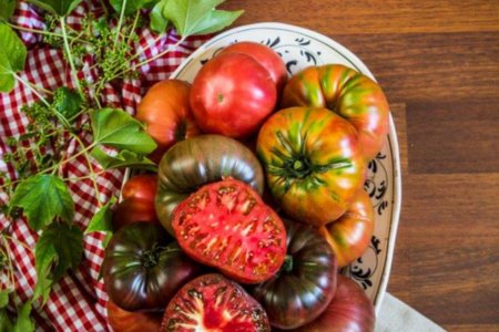 Image Beaucoup de tomates, rébellion dans le jardin. Où manger les meilleures tomates de Madrid