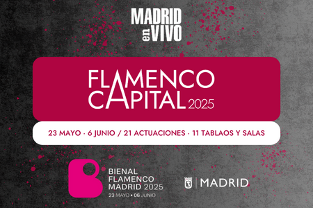 Image FLAMENCO CAPITAL 2025 Route: the heartbeat of flamenco