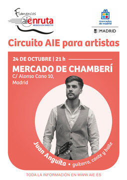 Imagen Circuito AIE para artistas: Juan Anguita