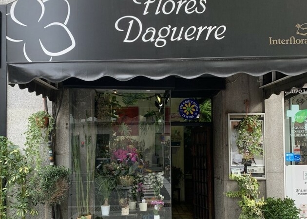 Galeria de imagens Daguerre Flores 1