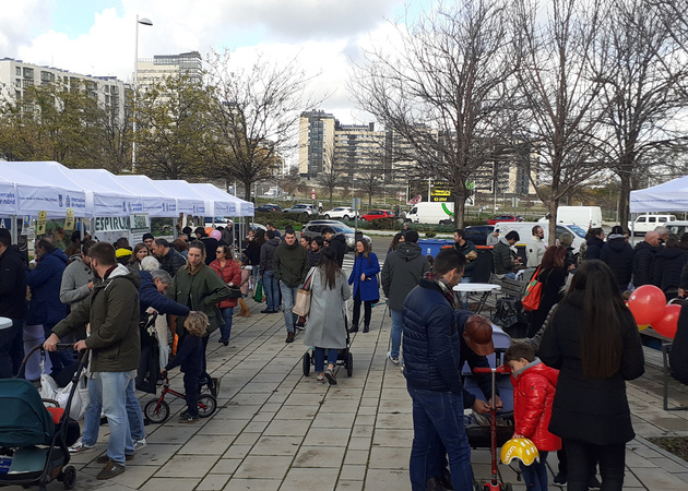 Galeria de imagens MOISÉS CASTRO 1