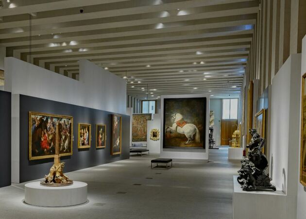 Galleria di immagini Galleria delle Collezioni Reali 2