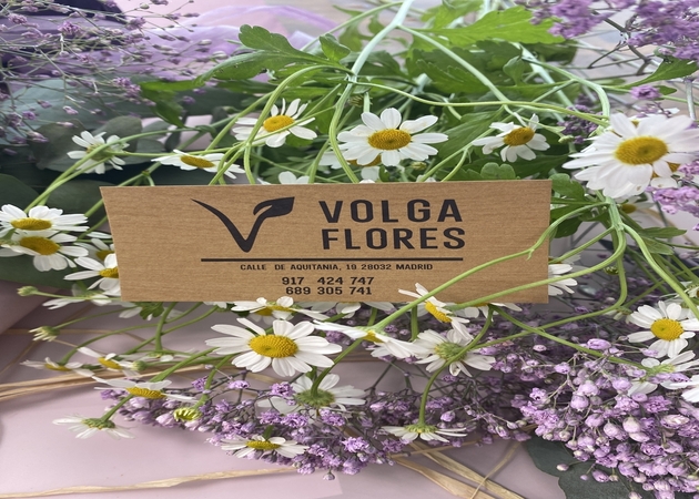 Galería de imágenes Volga Flores 1