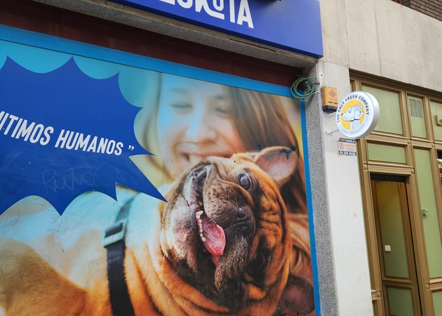 Galleria di immagini UNIVERSO DI MASKOTA MONCLOA 2