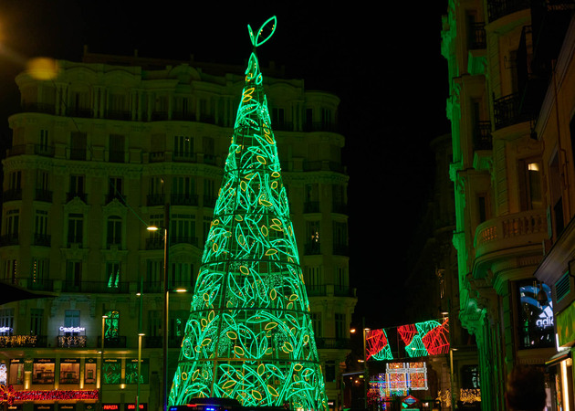 Galeria de imagens Luzes de Natal Helena Rohner 1