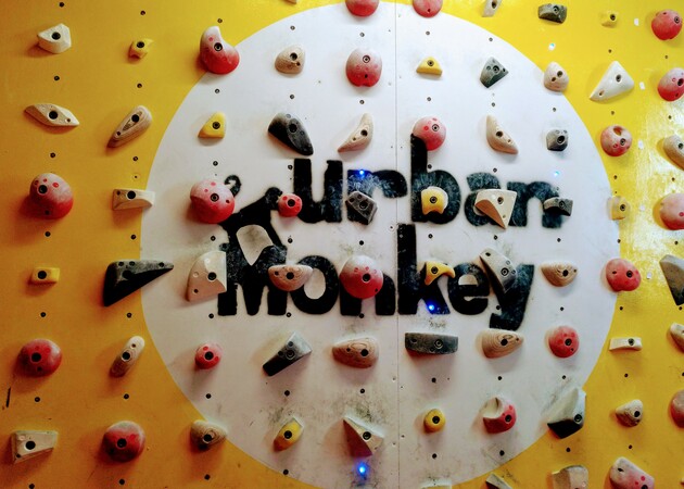 Galería de imágenes Urban Monkey 20