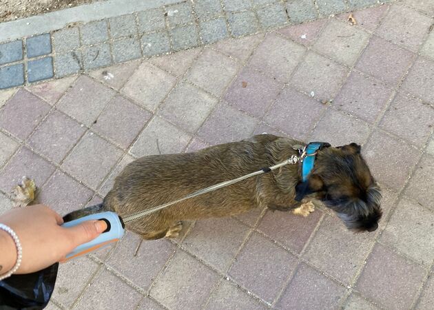 Galería de imágenes Chester House Club Canino 17