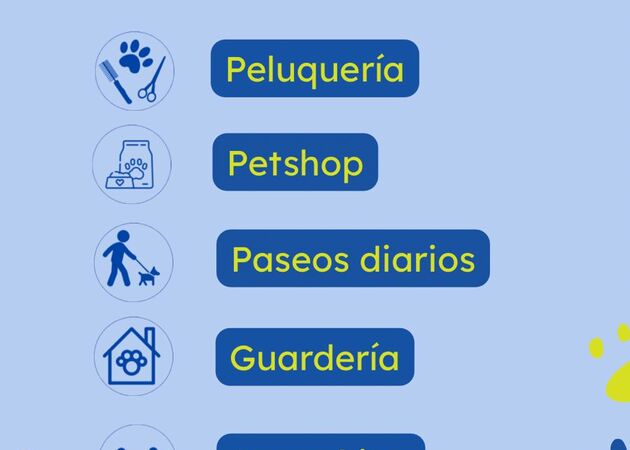 Galería de imágenes Chester House Club Canino 22