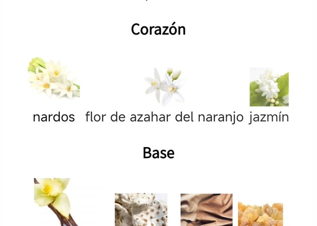 Galería de imágenes TOUR PERFUME IDEAL 1