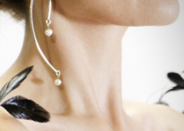 Galería de imágenes Siia 2