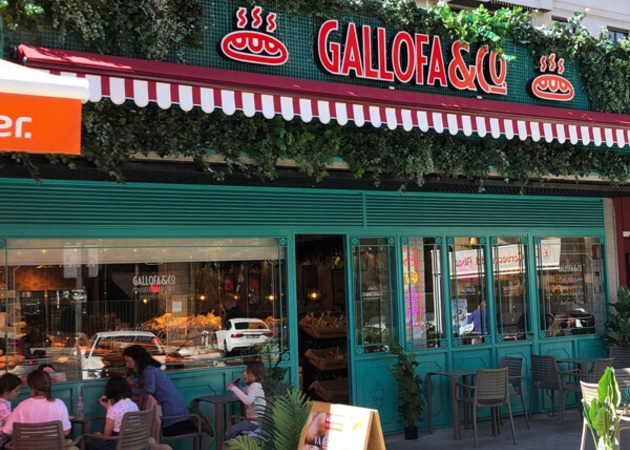 Galería de imágenes Gallofa & Co (Julio Palacios) 1