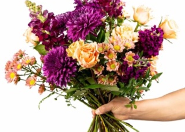 Galería de imágenes Flores de Cavia 1