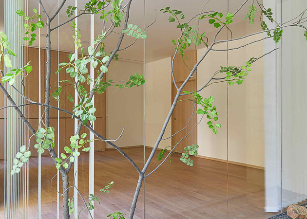 Galería de imágenes WEIJIA WELLNESS 2