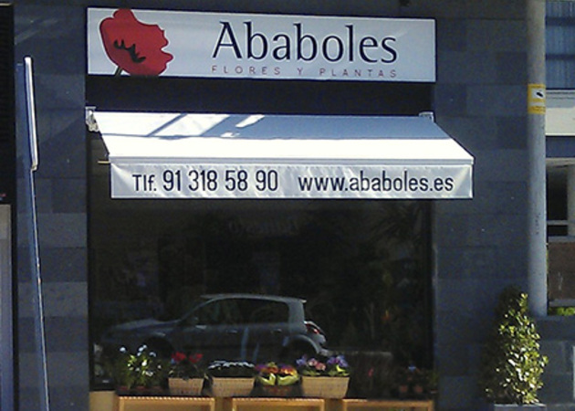 Galerie de images Ababoles 1