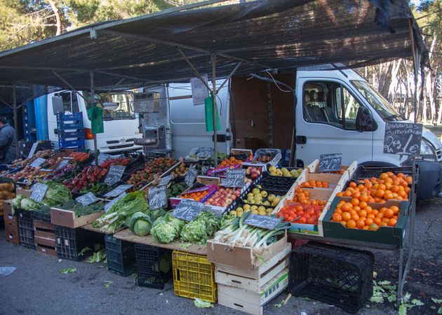图片库 圣克里斯托瓦尔德洛斯安赫莱斯市场：位置 13：水果店 1