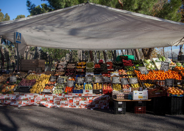 Galería de imágenes Mercadillo de San Cristóbal de los Ángeles: Puesto 20: Frutería 1