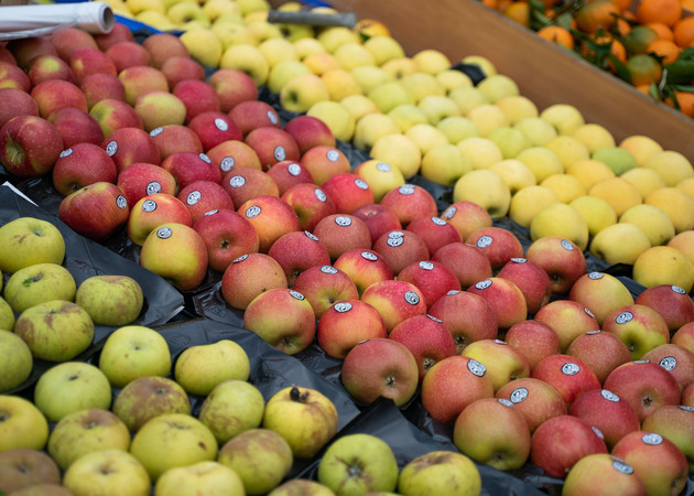 Galeria de imagens Ronda del Sur Posição de mercado 208: Loja de frutas 3