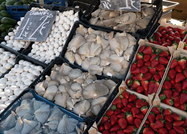 Image gallery Alcorisa-Silvano Market Post 34 and 44: Juan Tarraga 2