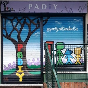 Foto di copertina Padiy Il mio piccolo negozio