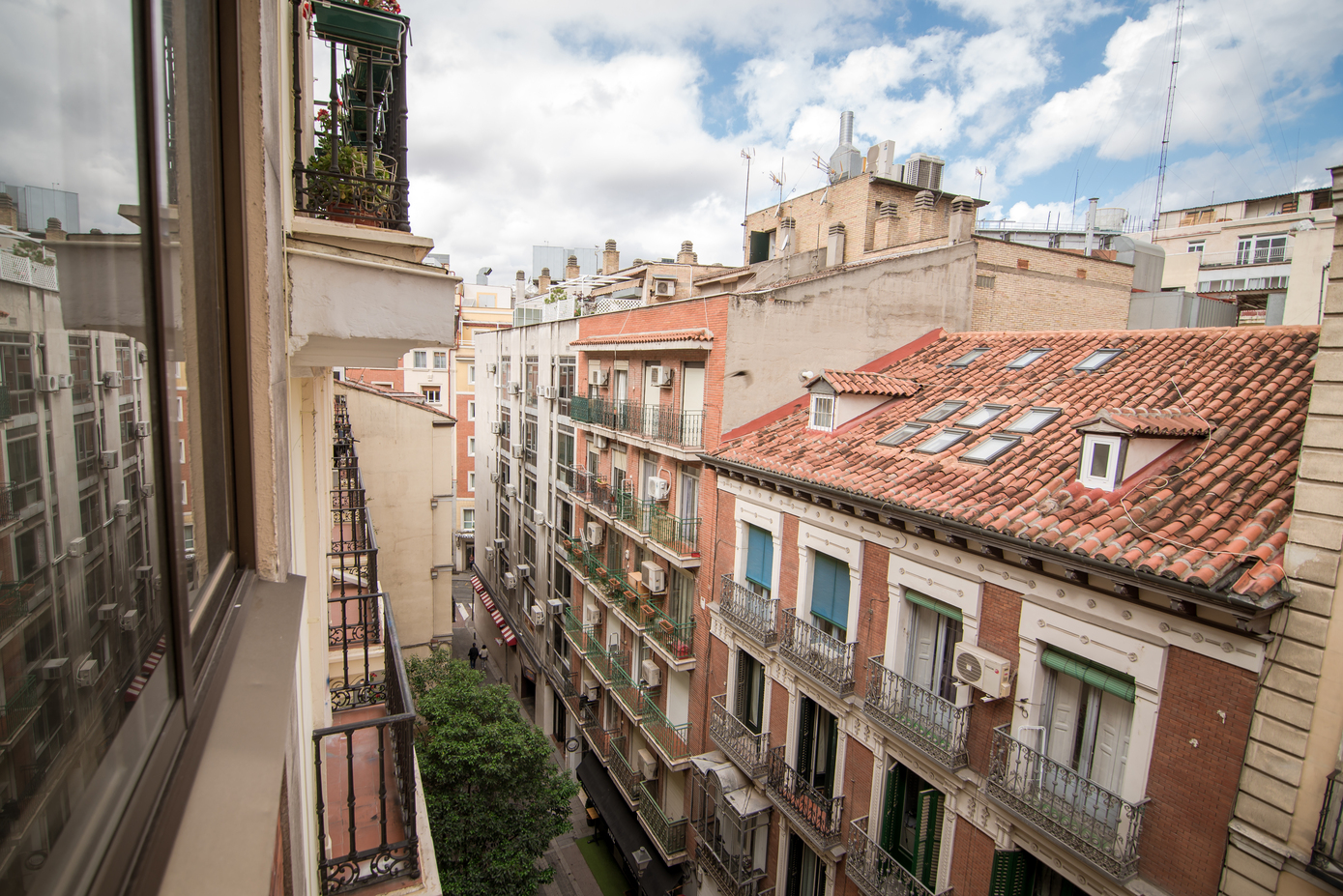 Photo de couverture Petit Palace Cliper
