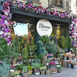 Blooms::Todo está en Madrid