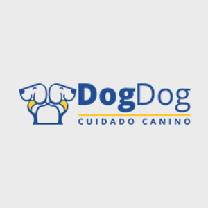 Dog Dog Cuidado Canino