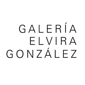 Foto de capa Galería Elvira González