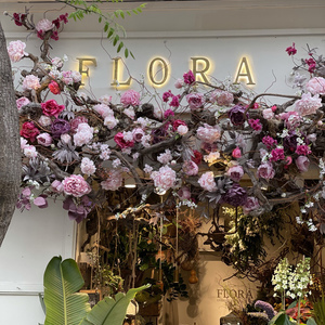 Photo de couverture Flora Urban Jungle Concept