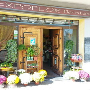 Foto de portada Expoflor Floristas