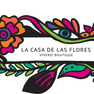 Foto de portada La Casa de Las Flores