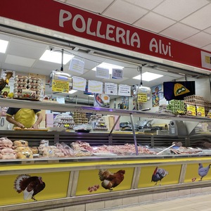 Foto de capa Alvi Chicken Shop