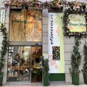 Foto de capa Florista Efêmera