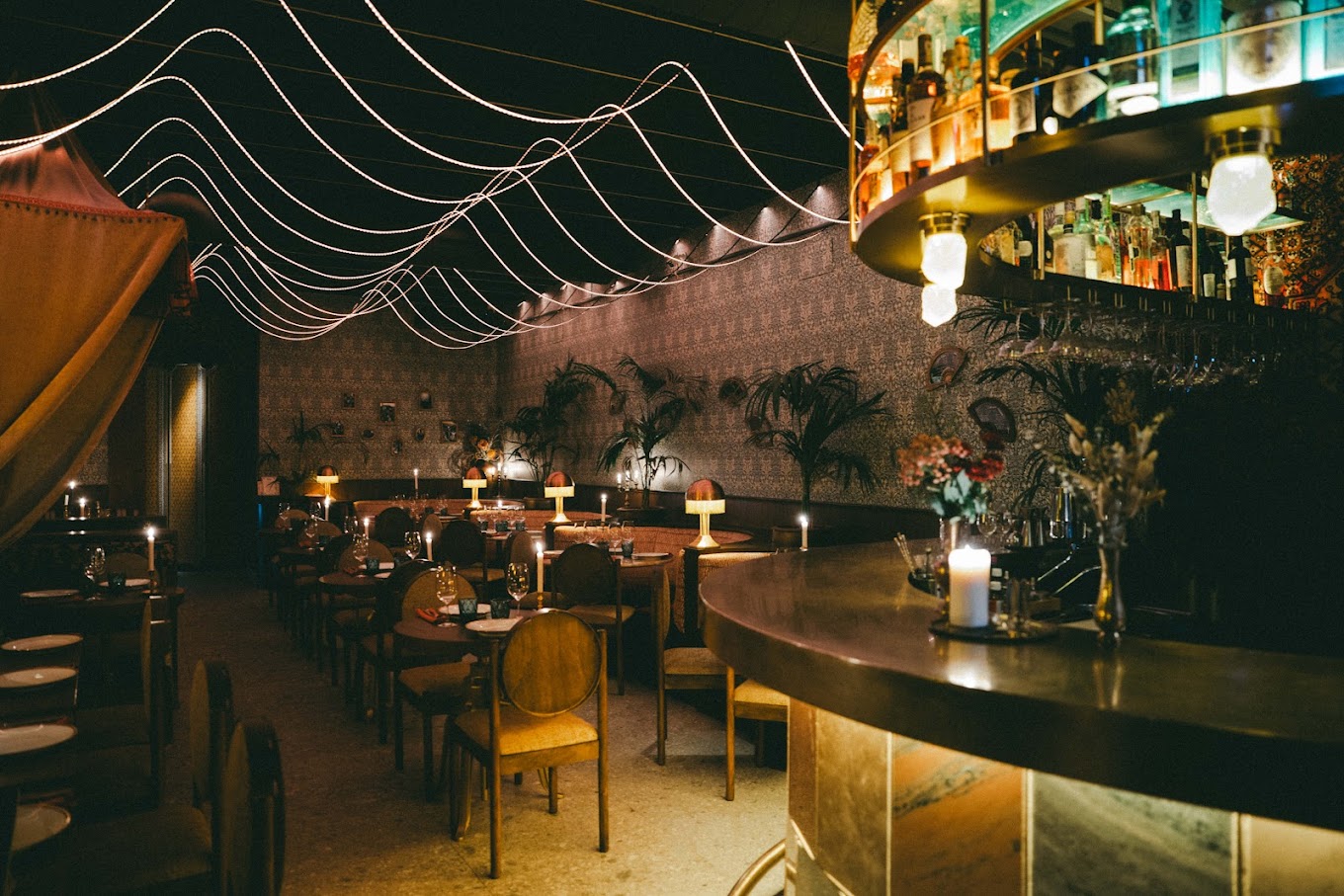 Photo de couverture Zingara