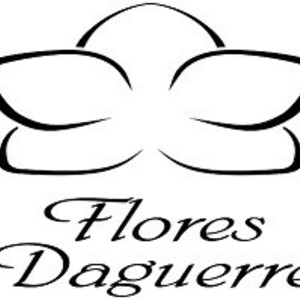Titelbild Daguerre-Blumen