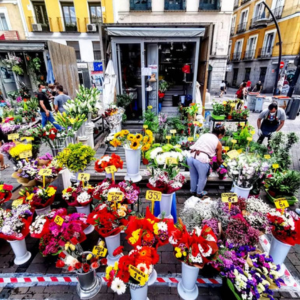 Foto de portada Mercadillo de flores de Tirso de Molina